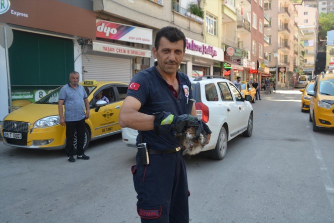 Amasya'da itfaiyecilerin "inatçı" kediyle "sabır sınavı"
