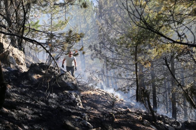 Konya'da çıkan orman yangını kontrol altına alındı