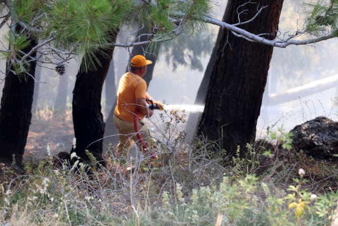 Manisa'da Spil Dağı eteklerinde çıkan orman yangını kontrol altına alındı