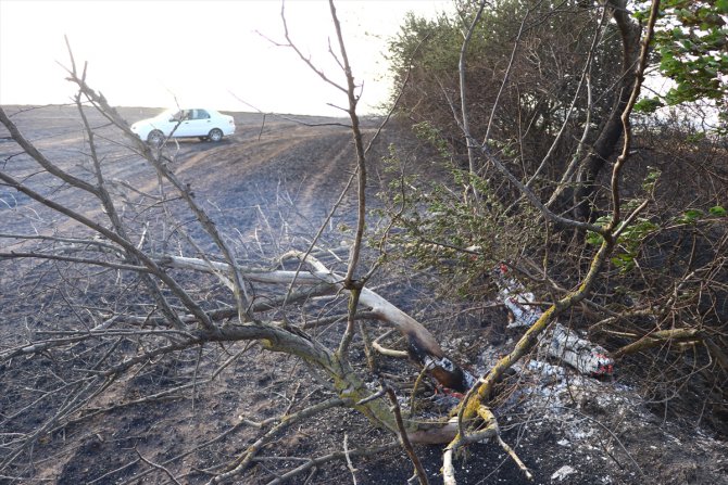 Tekirdağ'da yangın sonucu 200 dönüm ekili alan zarar gördü