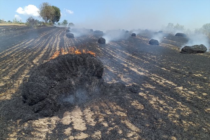 Samsun'da çıkan yangında bin dekar ekili arazi zarar gördü