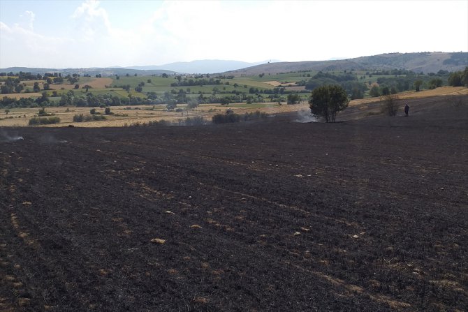 Samsun'da çıkan yangında bin dekar ekili arazi zarar gördü