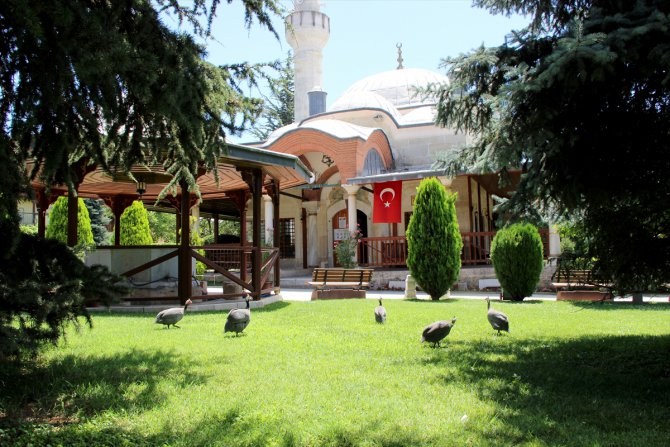 Edirne'deki "çevreci cami" cemaatinin desteğiyle güzelleşiyor