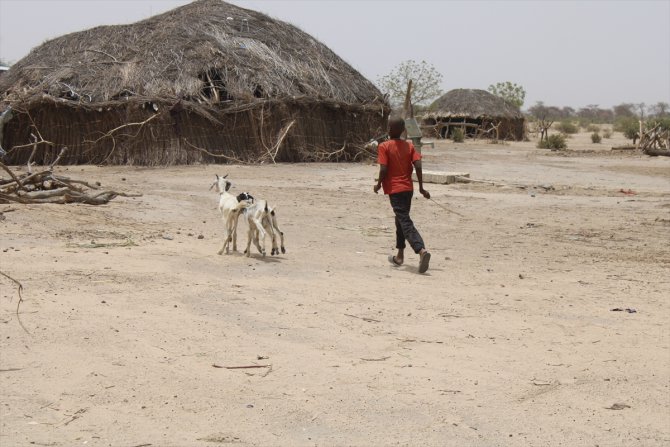 İyilik Derneği, Çad ve Kamerun'da bin 497 süt keçisi dağıttı