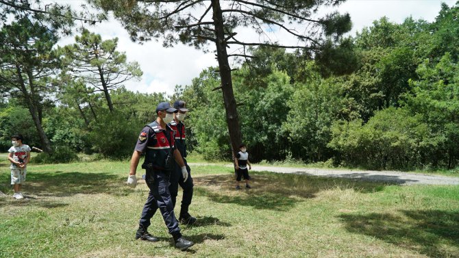 İstanbul'da Jandarma ekipleri, piknik alanlarında denetim yaptı