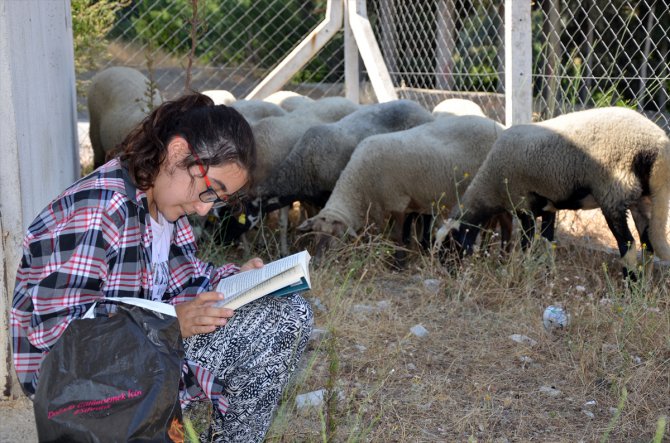 "Kitap kurdu Suzan" bir elinde kitap bir elinde değnek koyun güdüyor