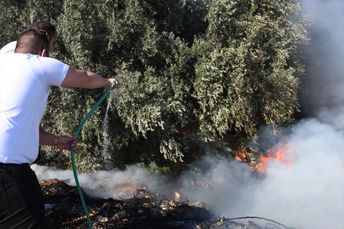 Bodrum'da yerleşim yeri yakınında çıkan yangın söndürüldü