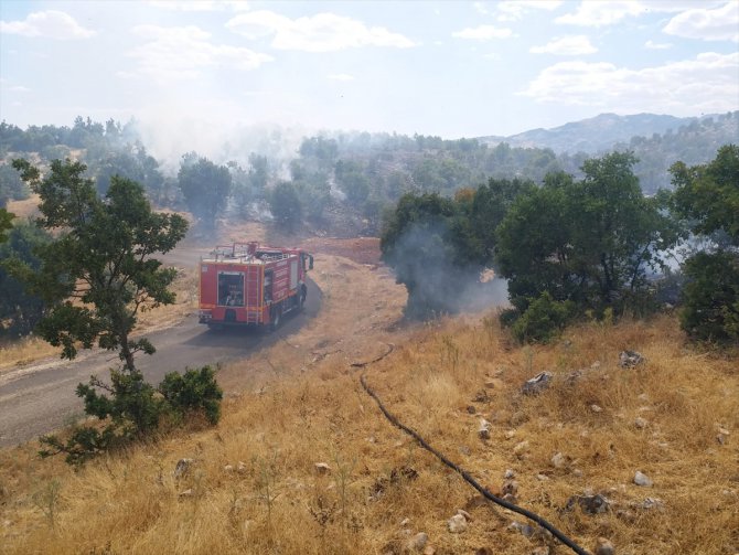 Adıyaman'da orman yangınında 3 hektarlık alan zarar gördü