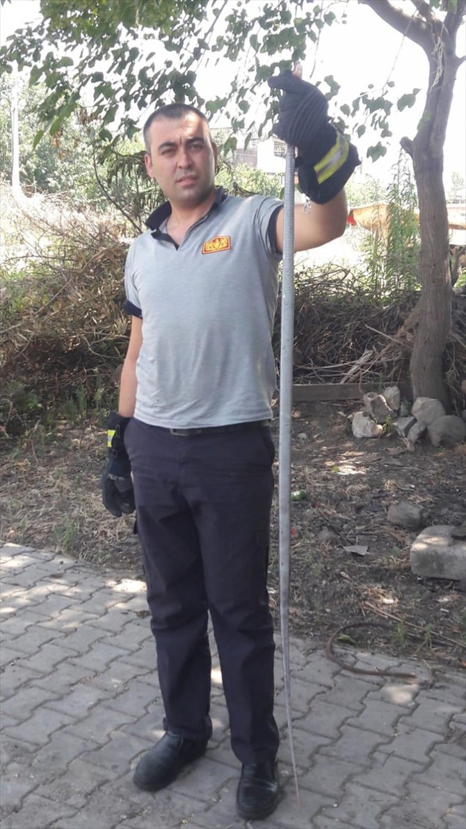 Hatay'da evin bahçesine giren yılanları itfaiye ekipleri yakaladı