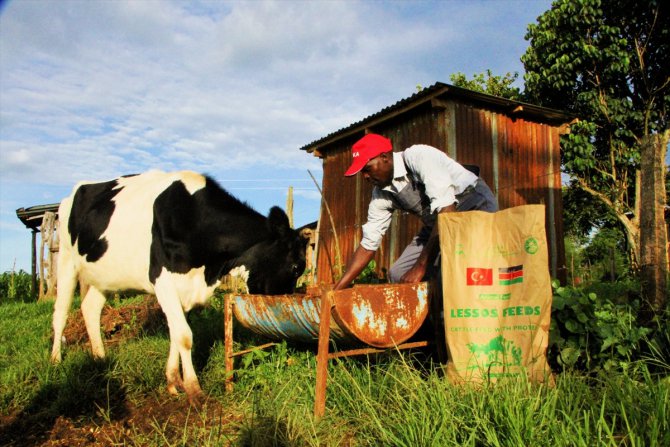 TİKA, binlerce Kenyalı çiftçinin hayatını değiştirdi