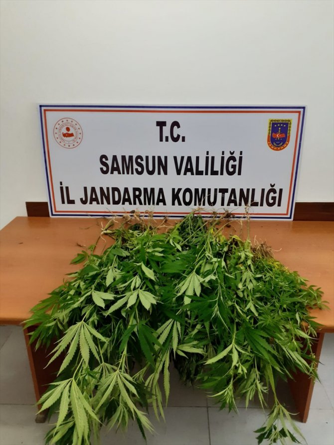 Samsun'da uyuşturucu operasyonlarında 4 şüpheli yakalandı