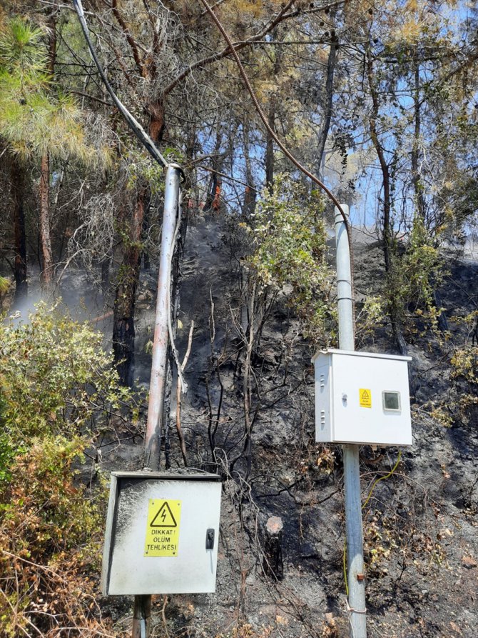 Antalya'da elektrik panosundan çıkan yangın ormanlık alana zarar verdi