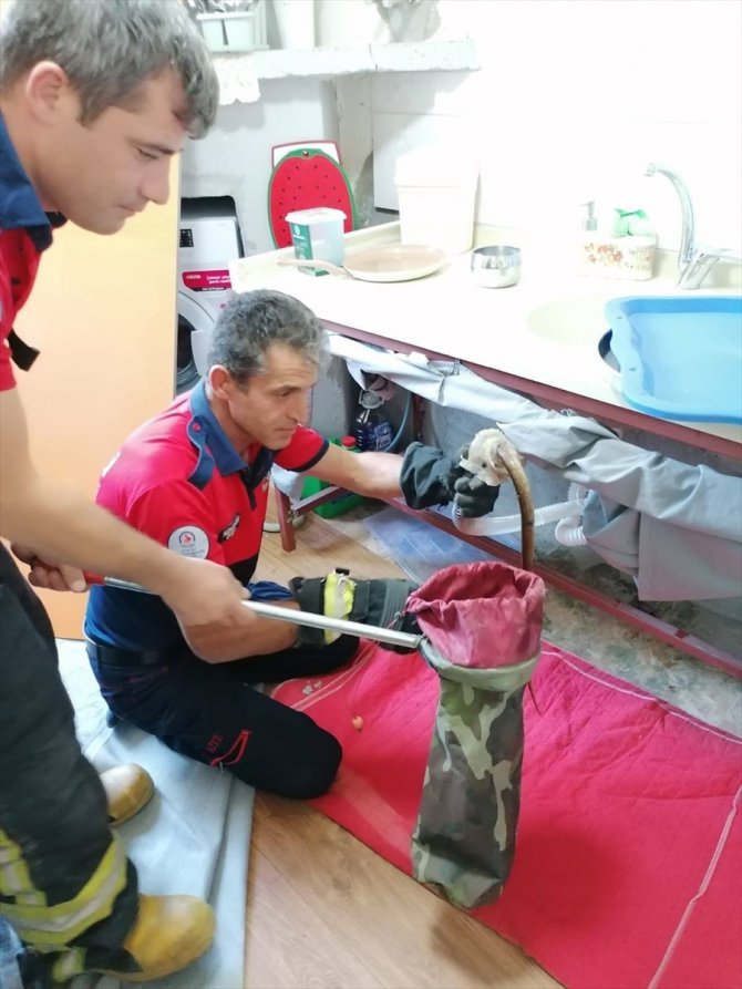 Denizli'de lavabo borusuna sıkışan oluklu kertenkele kurtarıldı