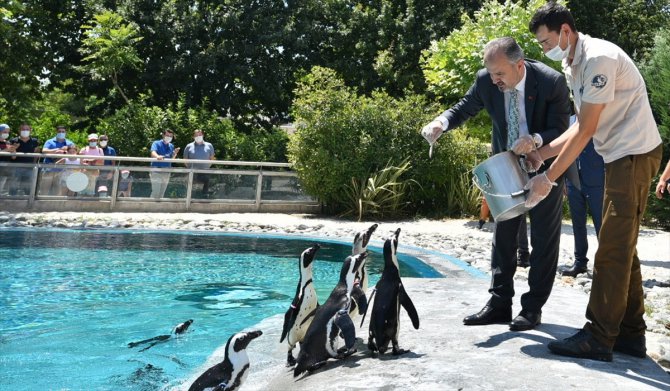 Bursa Hayvanat Bahçesi'nin nüfusu yeni doğumlarla artıyor