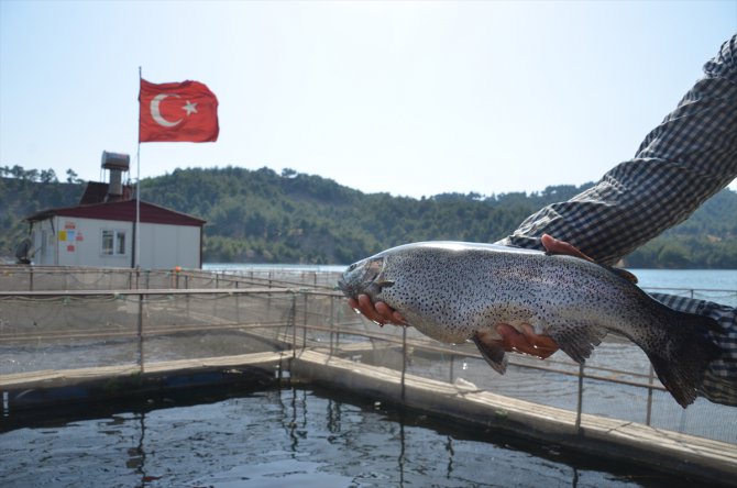 Denizi olmayan kentten 25 milyon dolarlık balık ihracatı