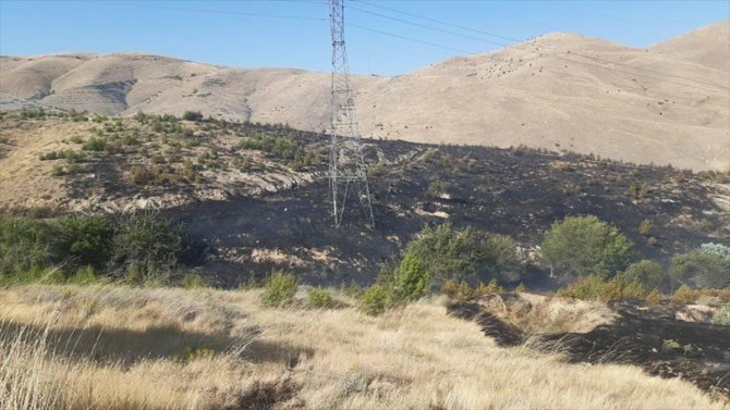 Elazığ'da çıkan yangında 60 dönüm ormanlık alan zarar gördü