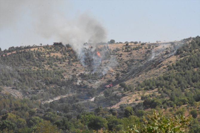Gaziantep'teki orman yangını söndürüldü