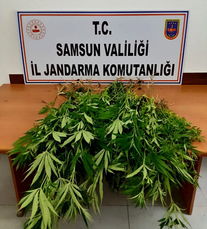 Samsun'da uyuşturucu operasyonlarında 12 şüpheli yakalandı