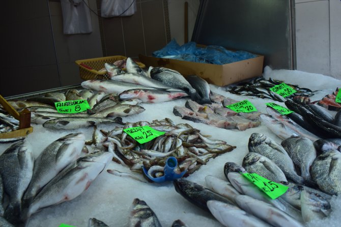Batı Karadeniz'de balık kıtlığı fiyatları yükseltti