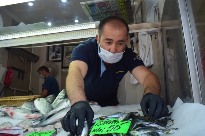 Batı Karadeniz'de balık kıtlığı fiyatları yükseltti