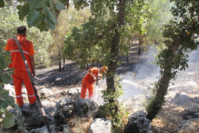 Gaziantep'te makilik alanda çıkan yangın söndürüldü