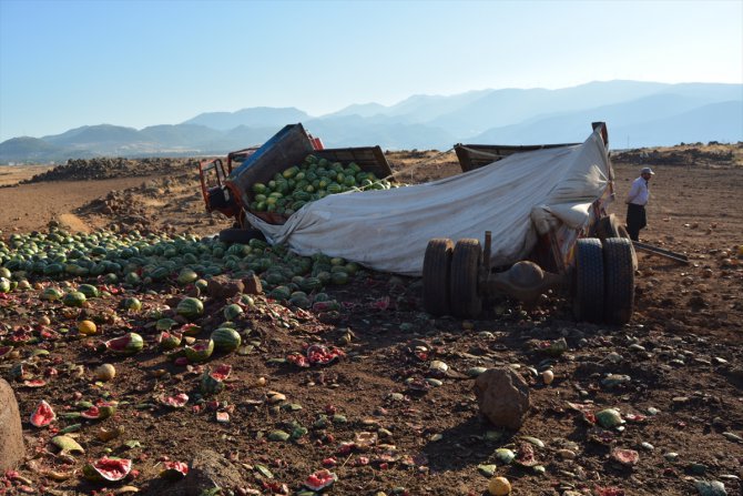 Gaziantep'te devrilen kamyondaki 13 ton karpuz zarar gördü