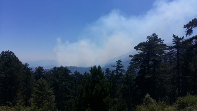 Isparta'da ormanlık alandaki yangın kontrol altına alındı