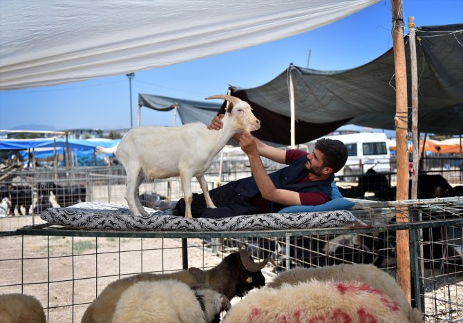 Mersin'deki hayvan pazarlarında "Kurban Bayramı" hareketliliği başladı