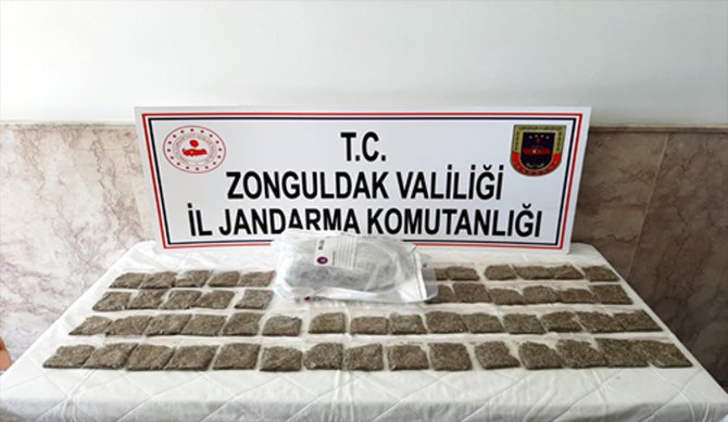 Zonguldak'ta ormanlık alanda gömülü iki erkek cesedi bulunması