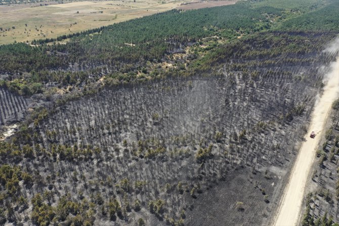 Edirne'deki orman yangını kontrol altına alınan orman yangını bölgesindeki soğutma çalışması sürüyor