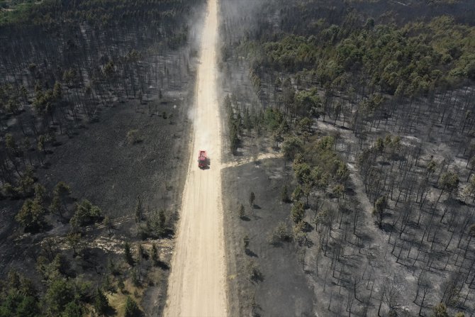 Edirne'deki orman yangını kontrol altına alınan orman yangını bölgesindeki soğutma çalışması sürüyor