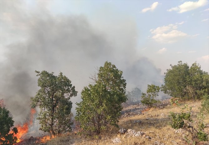 Malatya'da çıkan yangında 10 hektar ormanlık alan zarar gördü