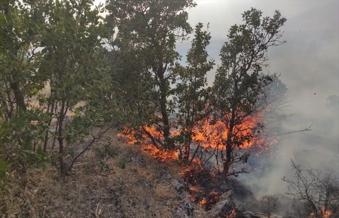 Malatya'da çıkan yangında 10 hektar ormanlık alan zarar gördü