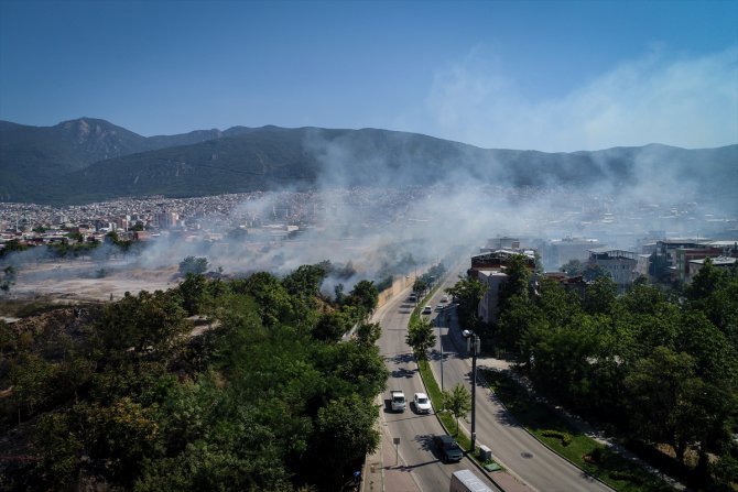 Bursa'da otluk alanda yangın