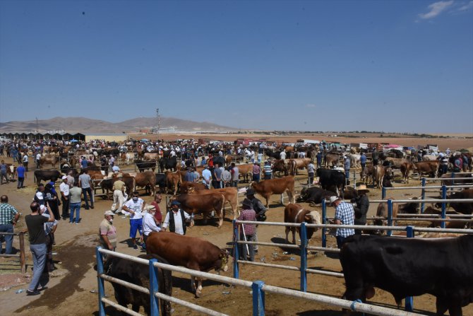 Kırşehir'de hayvan pazarında arife günü yoğunluğu