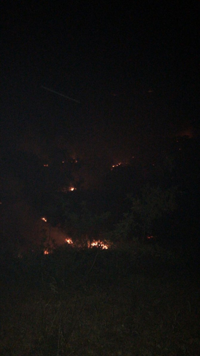 Malatya'da orman ve otluk alan yangını