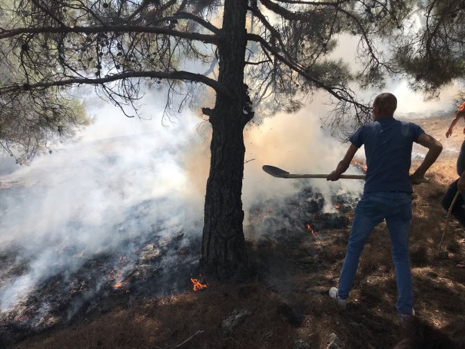 GÜNCELLEME - Gaziantep'te çıkan orman yangını söndürüldü