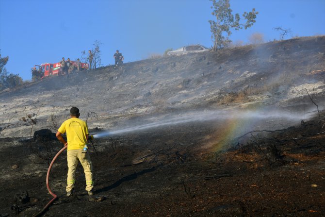 Manisa'da orman yangını yerleşim yerlerine ulaşmadan söndürüldü