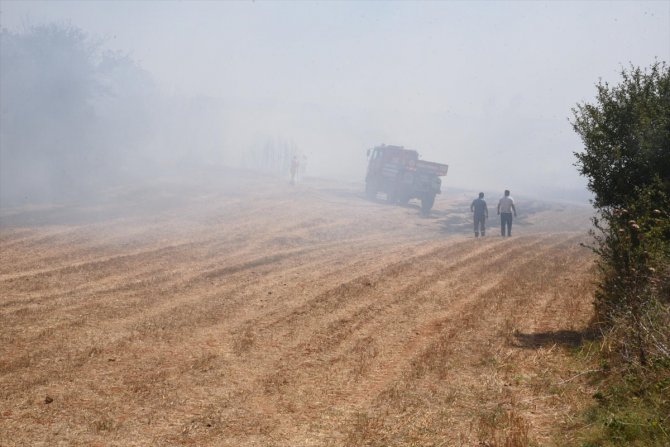 Edirne'de çıkan orman yangınları büyümeden söndürüldü