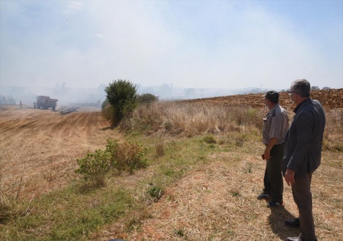 Edirne'de çıkan orman yangınları büyümeden söndürüldü
