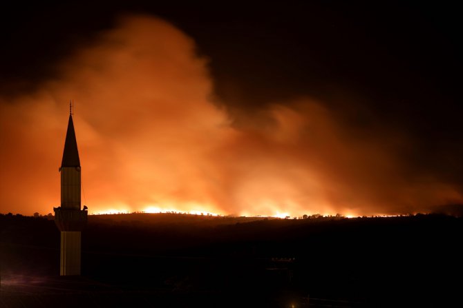 Bulgaristan'daki orman yangını