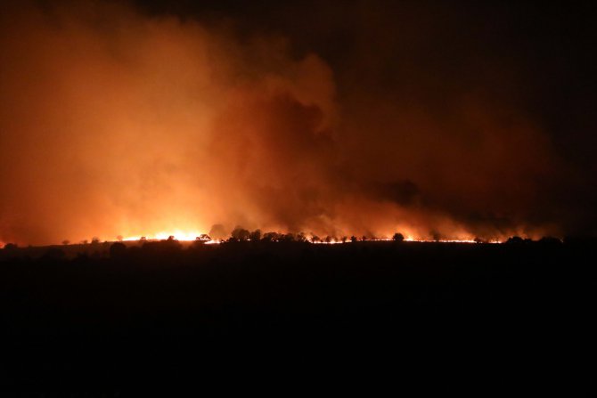 Bulgaristan'daki orman yangını