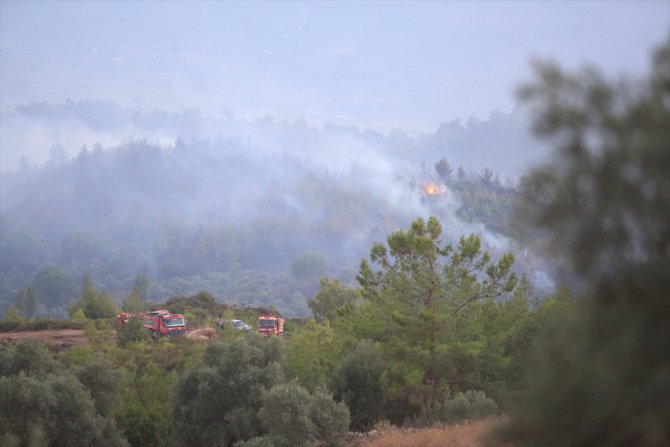 GÜNCELLEME - Muğla'da çıkan orman yangınına müdahale ediliyor
