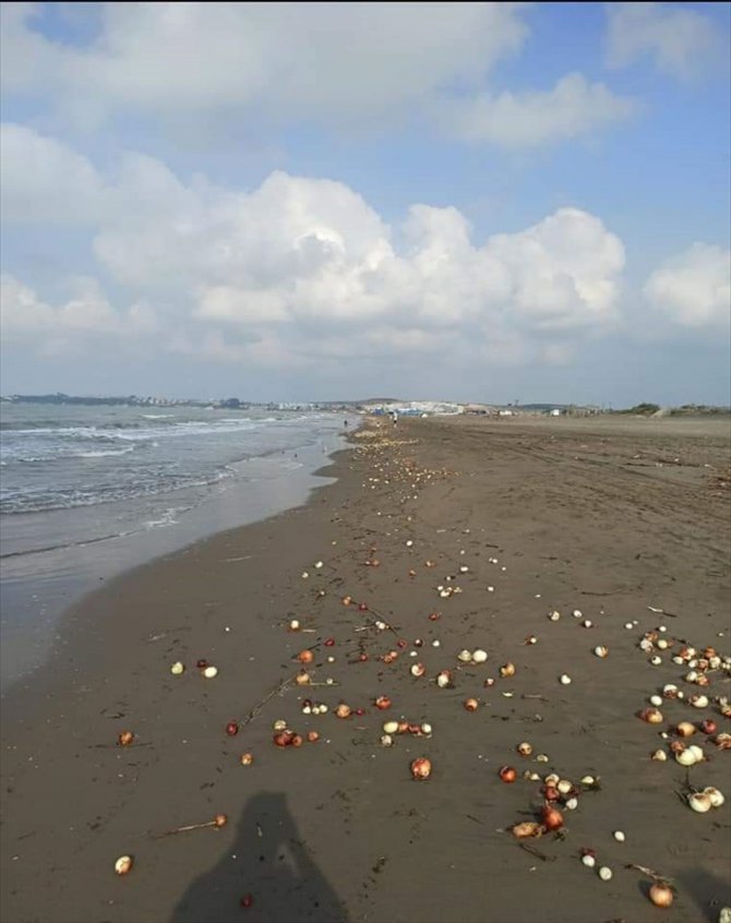 Adana'da dalgalarla geldiği plajı dolduran yüzlerce kilo soğan şaşkınlığı