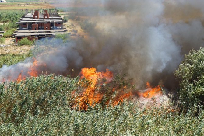 Balıkesir'de sazlık alanda yangın çıktı