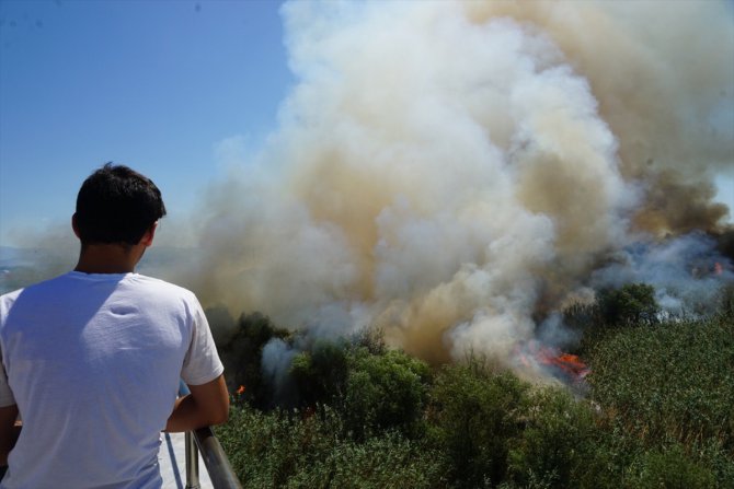 GÜNCELLEME - Balıkesir'deki sazlık yangını kontrol altına alındı