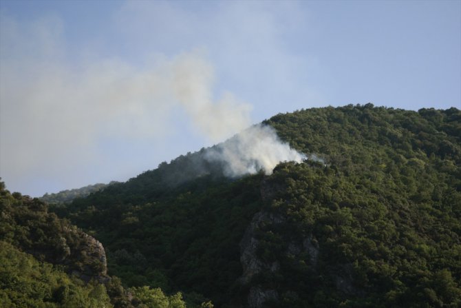 Bursa'da bağ evinde çıkan ve ormanlık alana sıçrayan yangın söndürüldü
