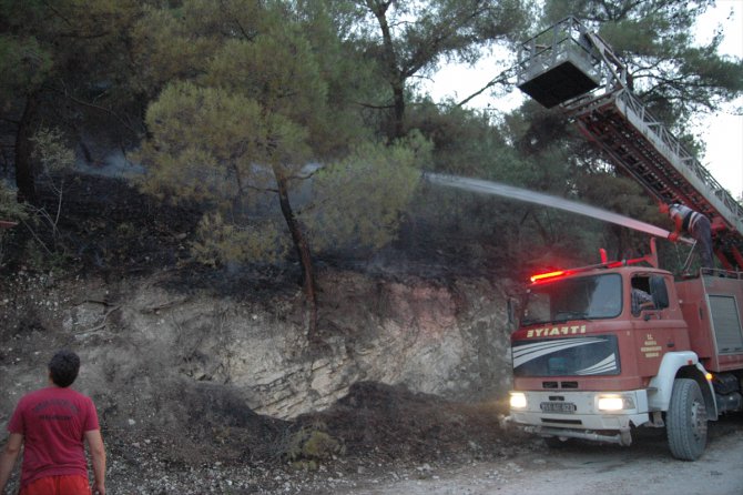 Bilecik'te çıkan orman yangınında 1,5 hektarlık alan zarar gördü