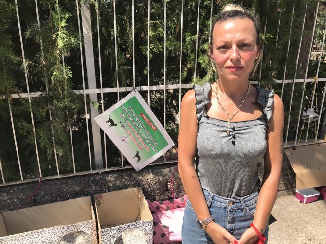 Hayvansever kadın sokak kedilerinin kulübelerine zarar verildiği iddiasıyla şikayetçi oldu