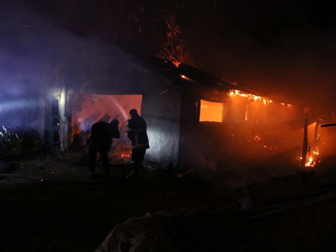 Bolu'da ahır yangınında 15 buzağı telef oldu